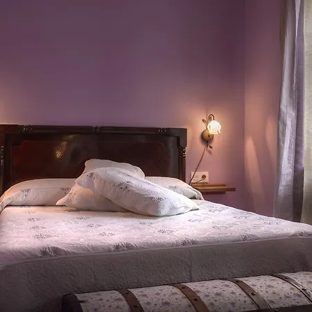 Casa de Campo Paloma